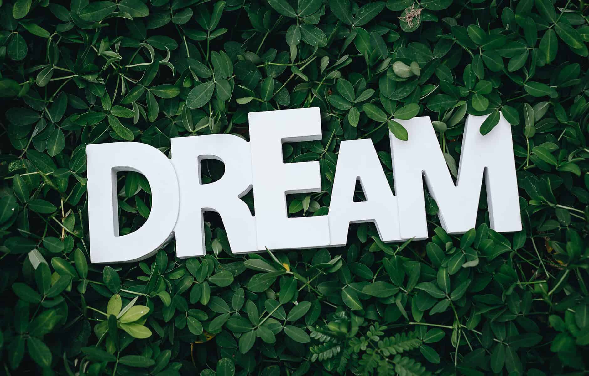 dream text on green leaves
